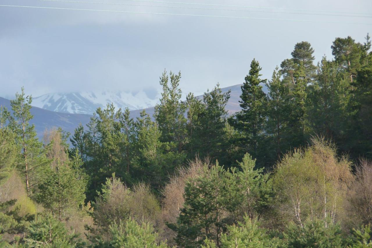 Grantown-on-Spey Tanleys B&B מראה חיצוני תמונה